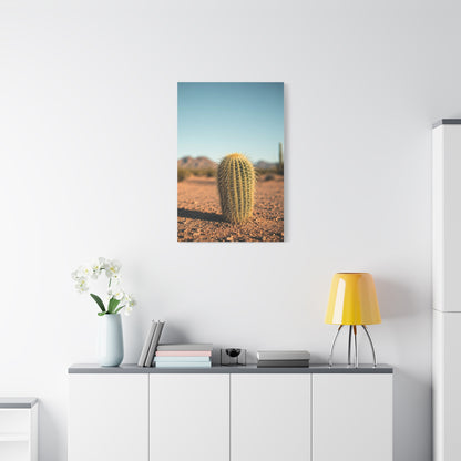 Barrel Cactus Desert Minimalism Wall Art & Canvas Prints