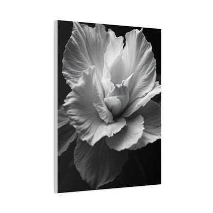 Sculpted Petal Elegance Close-Up Wall Art & Canvas Prints