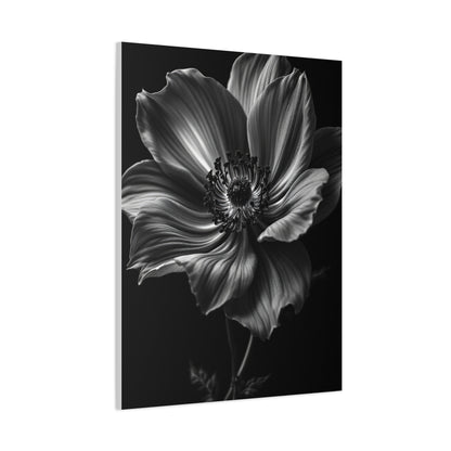 Anemone Bloom with Dramatic Center Wall Art & Canvas Prints