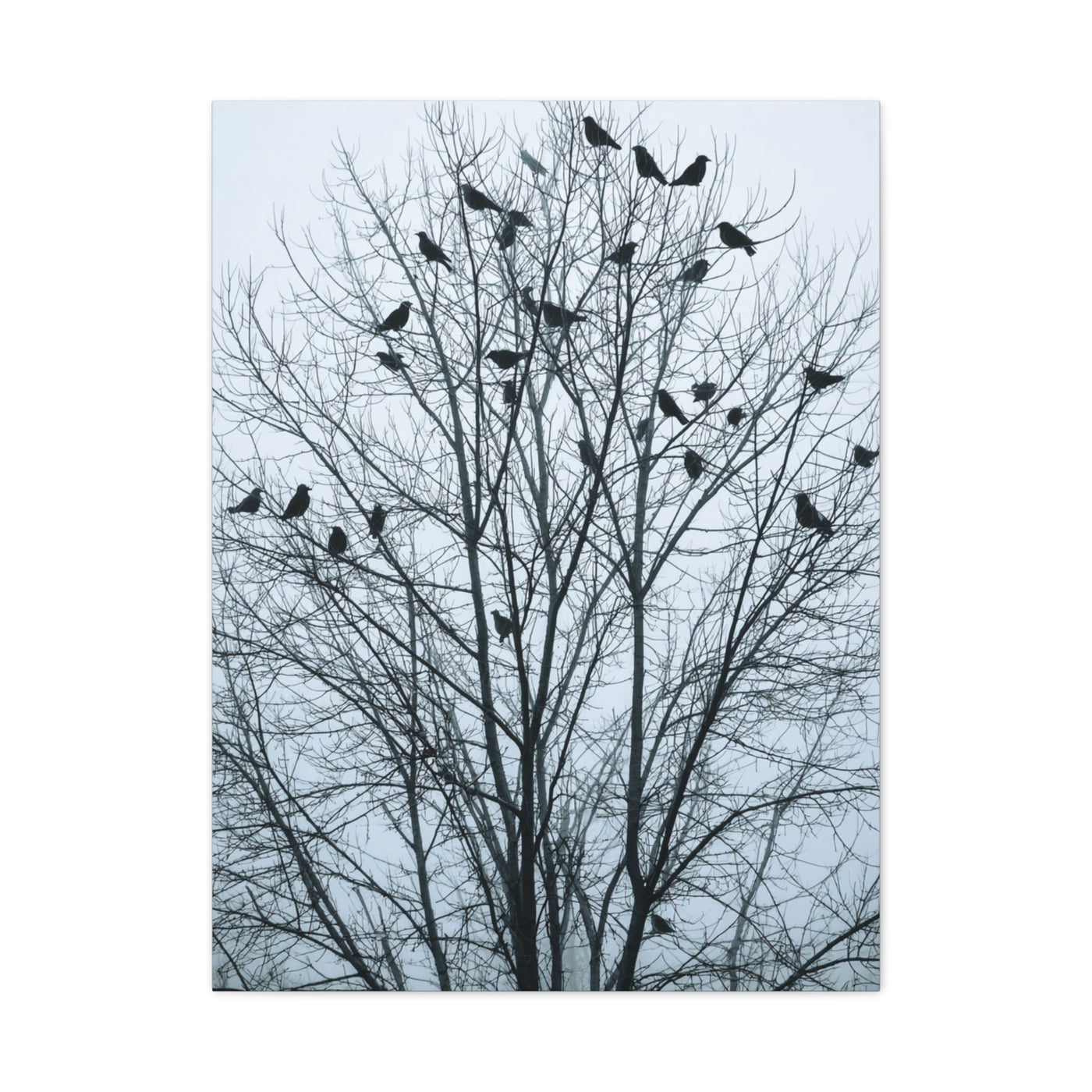 Tree of Crows Silhouette Wall Art & Canvas Print