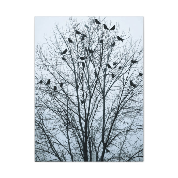 Tree of Crows Silhouette Wall Art & Canvas Print
