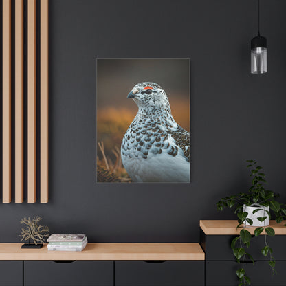 Snowy Grouse Portrait Wall Art & Canvas Prints