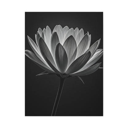 Dramatic Hibiscus Petal Study Wall Art & Canvas Prints
