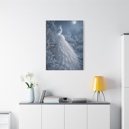 Snowy Moonlit White Peacock Wall Art & Canvas Print