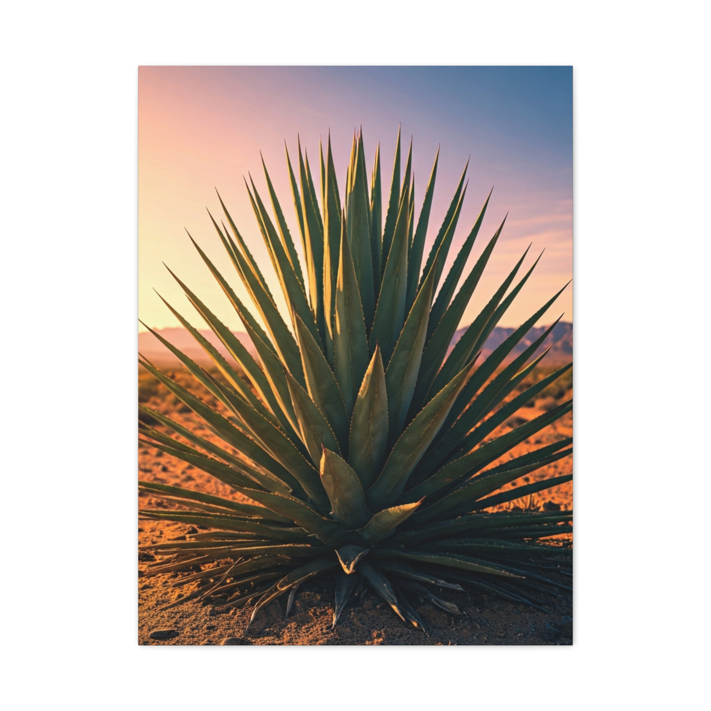 Desert Agave Sunburst Wall Art & Canvas Prints