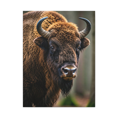 Wood Bison Close-Up with Soft Forest Backdrop Wall Art & Canvas Print