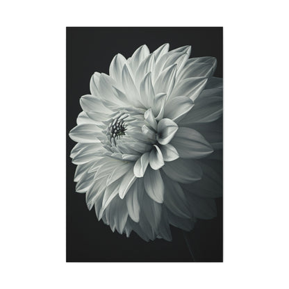 Silver Dahlia Blossom Wall Art & Canvas Prints