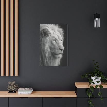 White Lion Monochrome Close Portrait Wall Art & Canvas Print