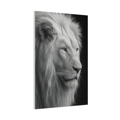 White Lion Monochrome Close Portrait Wall Art & Canvas Print