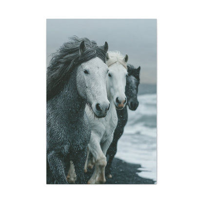Coastal Wild Horses Storm Run Wall Art & Canvas Print