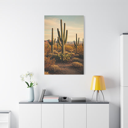 Sonoran Desert Saguaro Field Wall Art & Canvas Prints