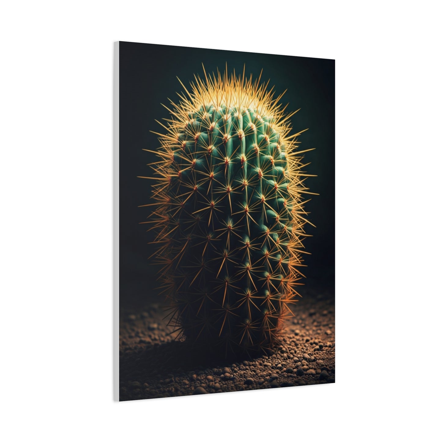 Golden Halo Barrel Cactus Wall Art & Canvas Prints