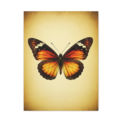 Vintage Monarch Butterfly Illustration Wall Art & Canvas Prints