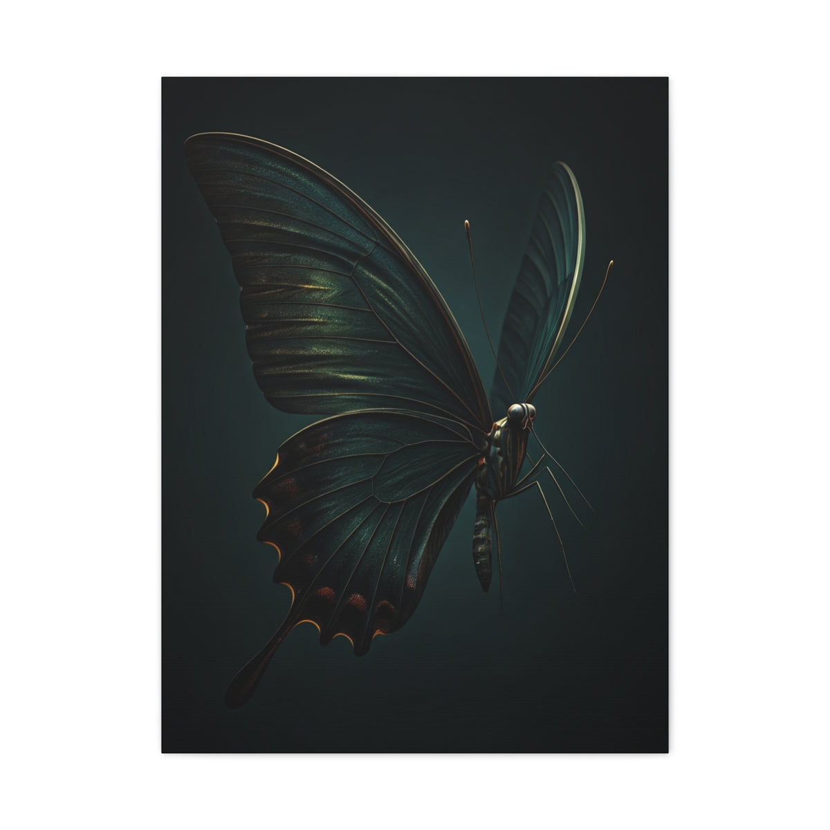 Dark Swallowtail Butterfly Profile Study Wall Art & Canvas Prints