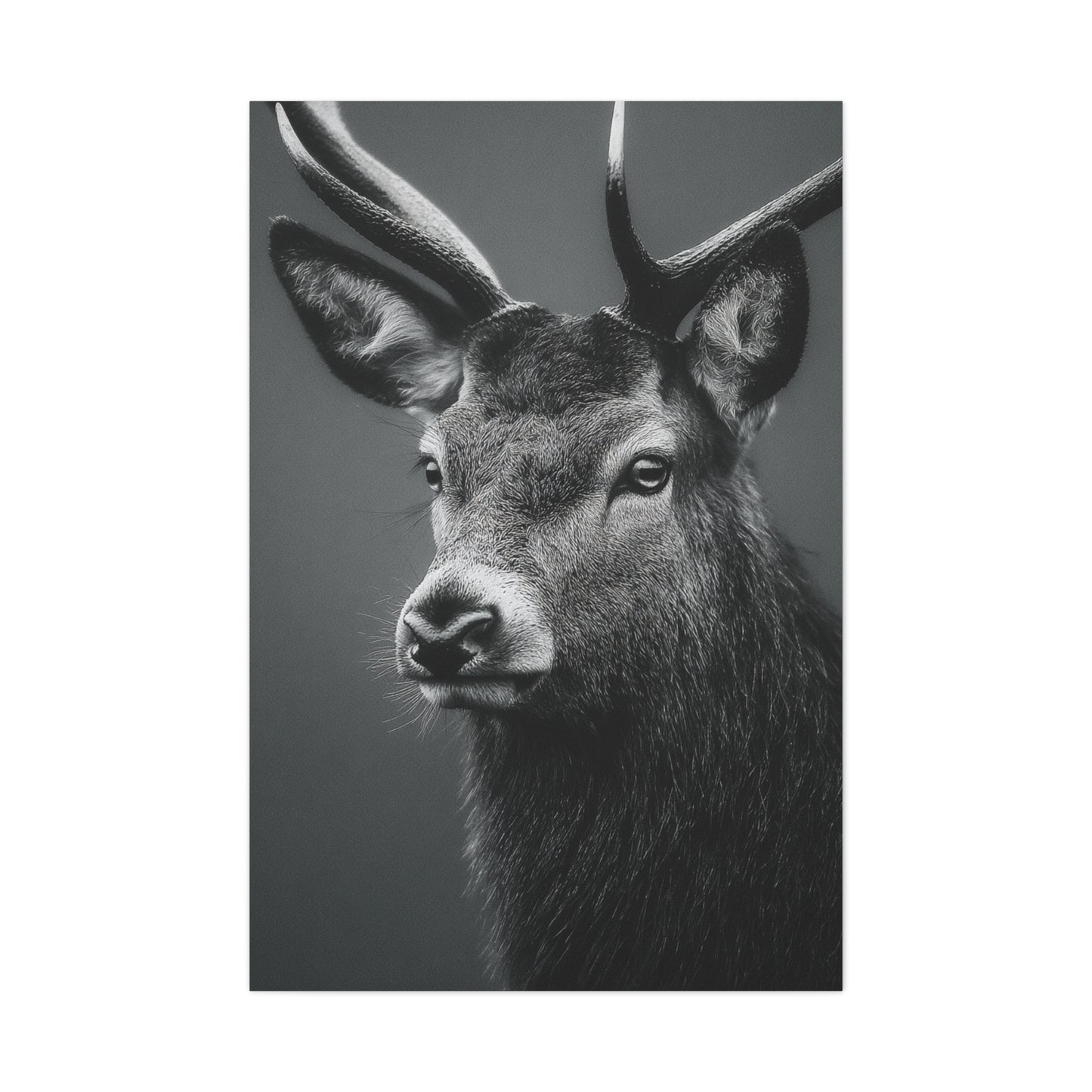 Highland Stag Moonlight Profile Wall Art & Canvas Print