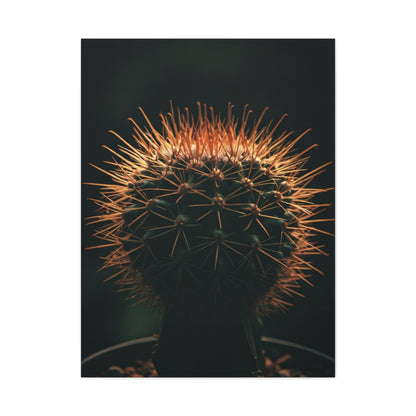 Midnight Desert Cactus Wall Art & Canvas Prints