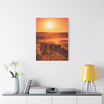 Golden Sunset Cattle Trail Wall Art & Canvas Print