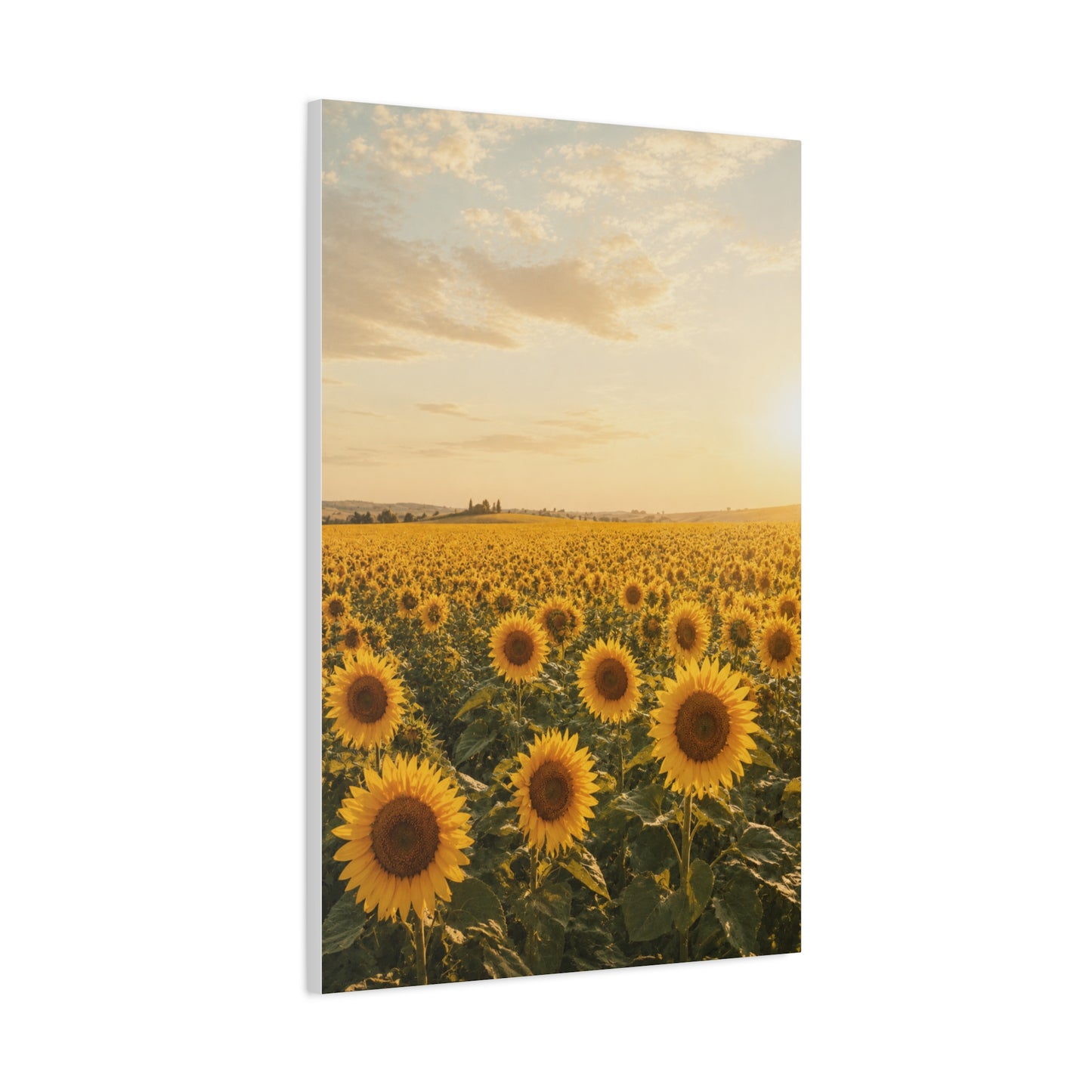 Golden Sunflower Field Horizon Landscape Wall Art & Canvas Print