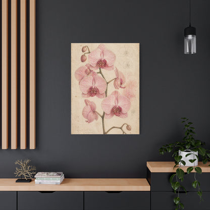Vintage Orchid Botanical Study Wall Art & Canvas Print