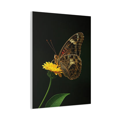 Golden Meadow Butterfly On Yellow Blossom Wall Art & Canvas Prints