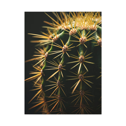 Desert Geometry Cactus Close-Up Wall Art & Canvas Prints