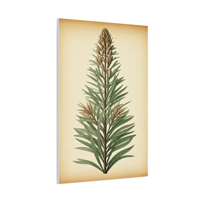 Vintage Fern Study Wall Art & Canvas Prints