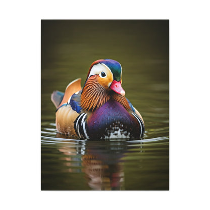 Mandarin Duck with Colorful Plumage Wall Art & Canvas Prints