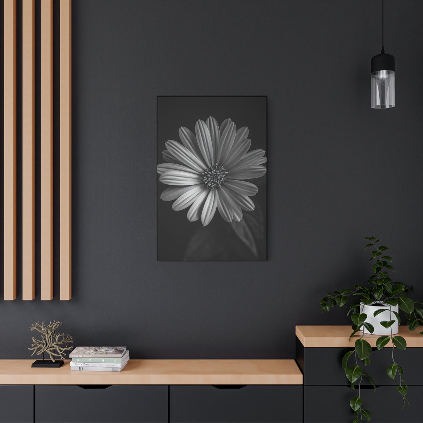 Radiant Daisy in Shadow Wall Art & Canvas Prints