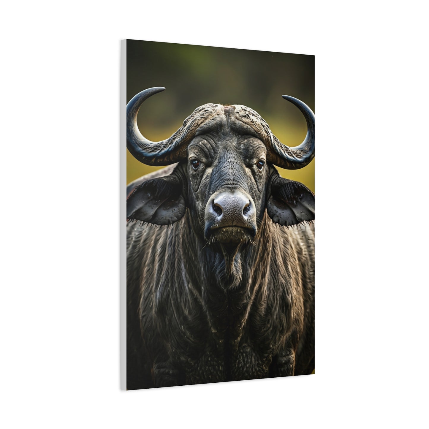 Golden Rim-Lit Buffalo Portrait Wall Art & Canvas Print