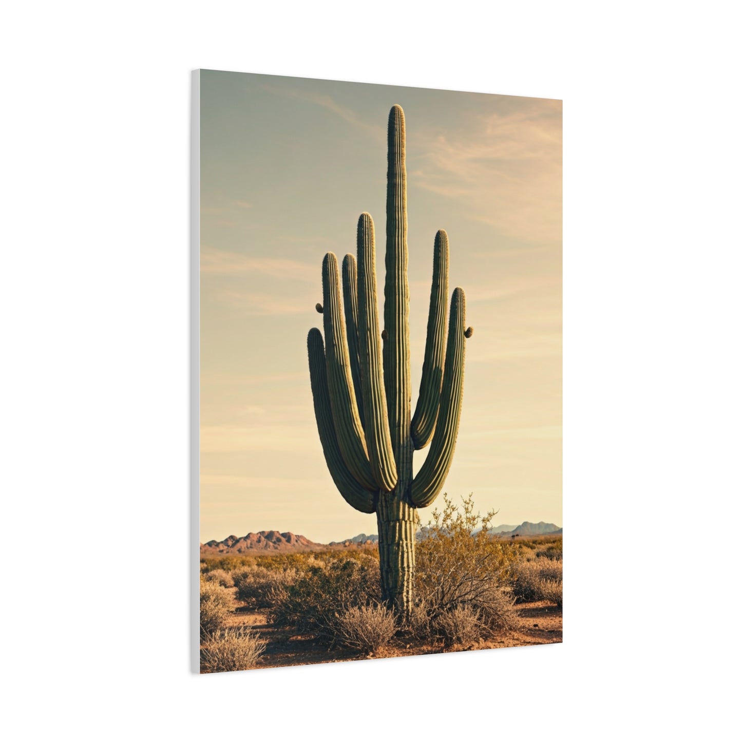 Golden Desert Saguaro Landscape Wall Art & Canvas Prints