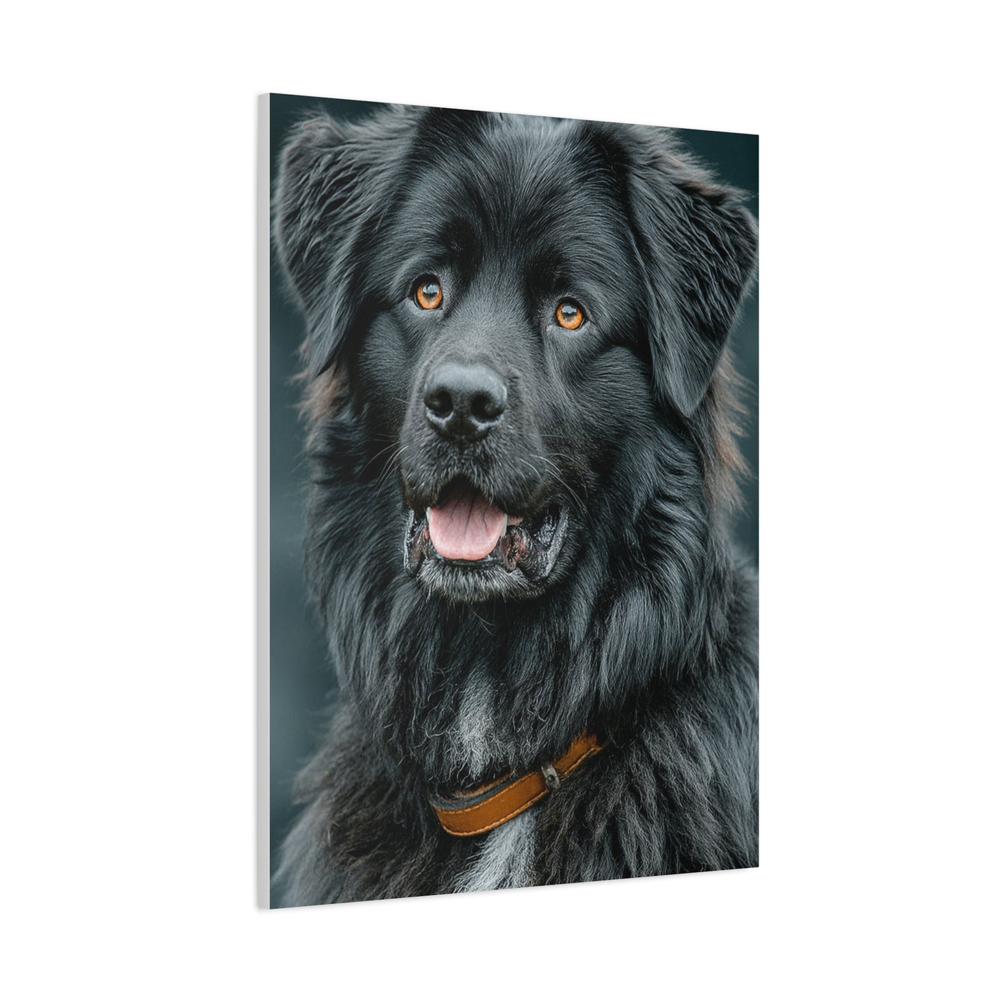 Noble Newfoundland Portrait Wall Art & Canvas Print