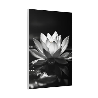 Serene Lotus Reflection Wall Art & Canvas Prints