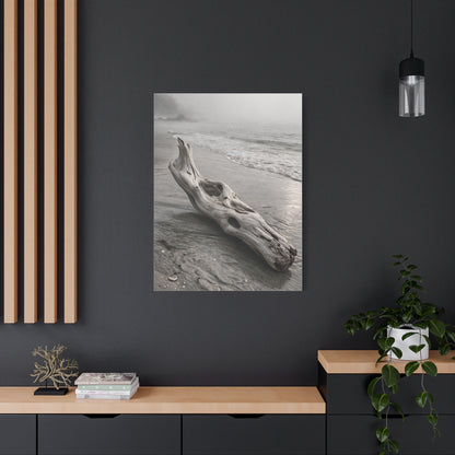 Driftwood Coastal Minimal Wall Art & Canvas Print