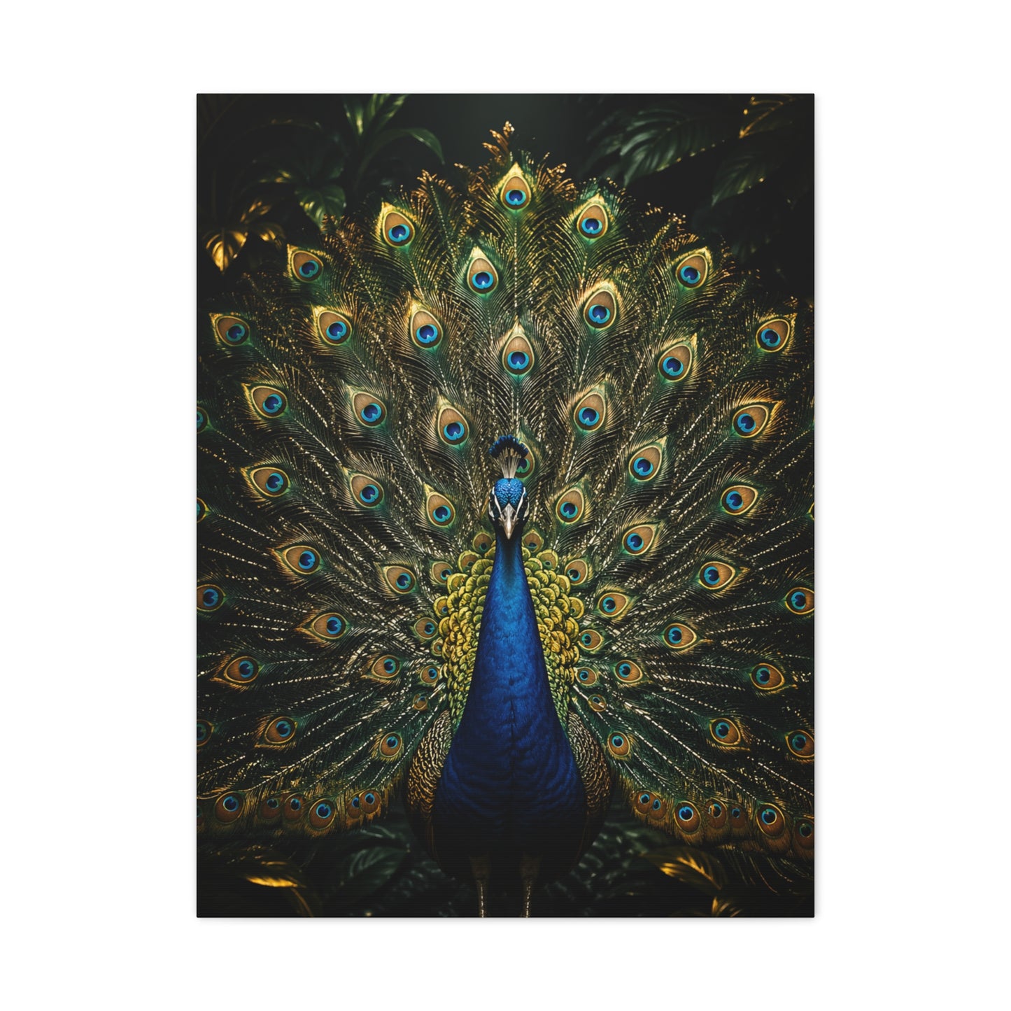 Opulent Jungle Peacock Display Wall Art & Canvas Print