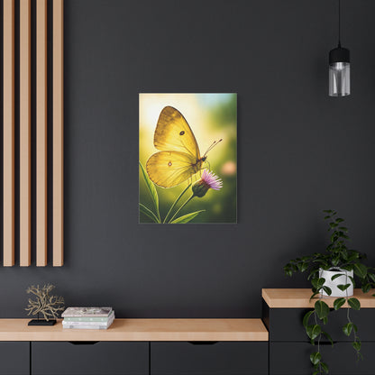 Golden Light Butterfly Close-Up Wall Art & Canvas Prints