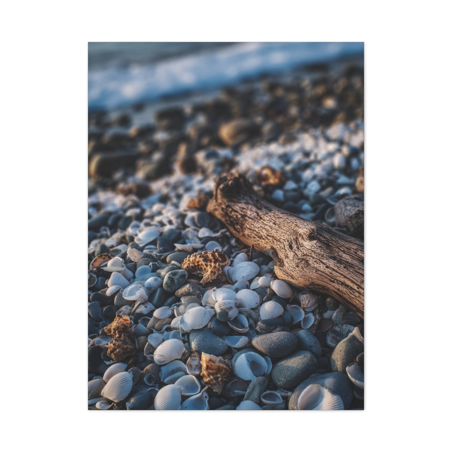 Rocky Shoreline with Seashells and Driftwood Wall Art & Canvas Print