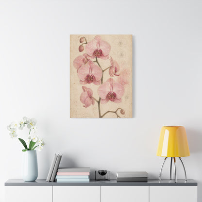 Vintage Orchid Botanical Study Wall Art & Canvas Print