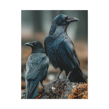 Raven and Crow Portrait – Guardians of the Wild Wall Art & Canvas Print