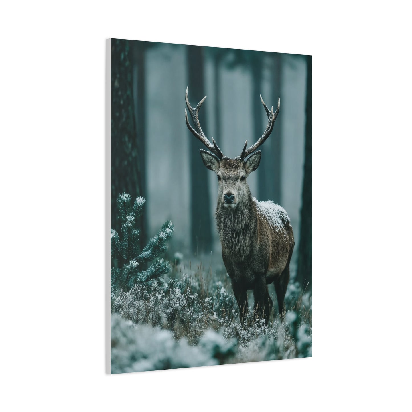 Winter Pine Stag Portrait Wall Art & Canvas Print