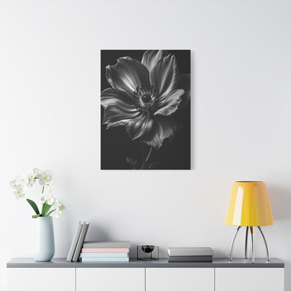 Anemone Bloom with Dramatic Center Wall Art & Canvas Prints
