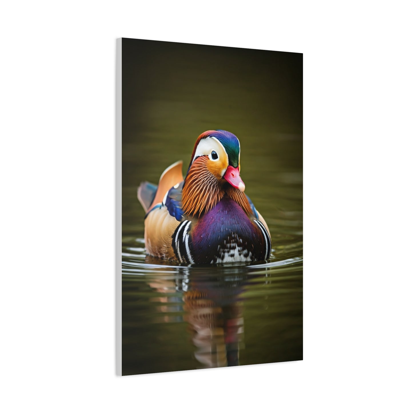 Mandarin Duck with Colorful Plumage Wall Art & Canvas Prints