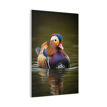 Mandarin Duck with Colorful Plumage Wall Art & Canvas Prints