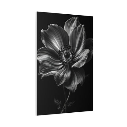 Anemone Bloom with Dramatic Center Wall Art & Canvas Prints