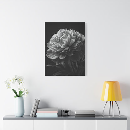 Midnight Peony Elegance Wall Art & Canvas Prints