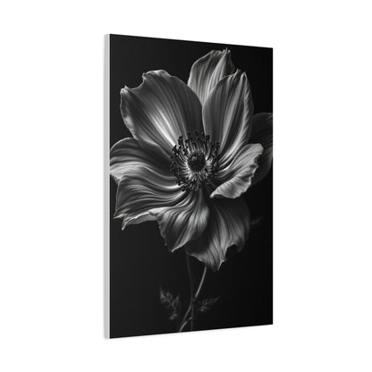 Anemone Bloom with Dramatic Center Wall Art & Canvas Prints
