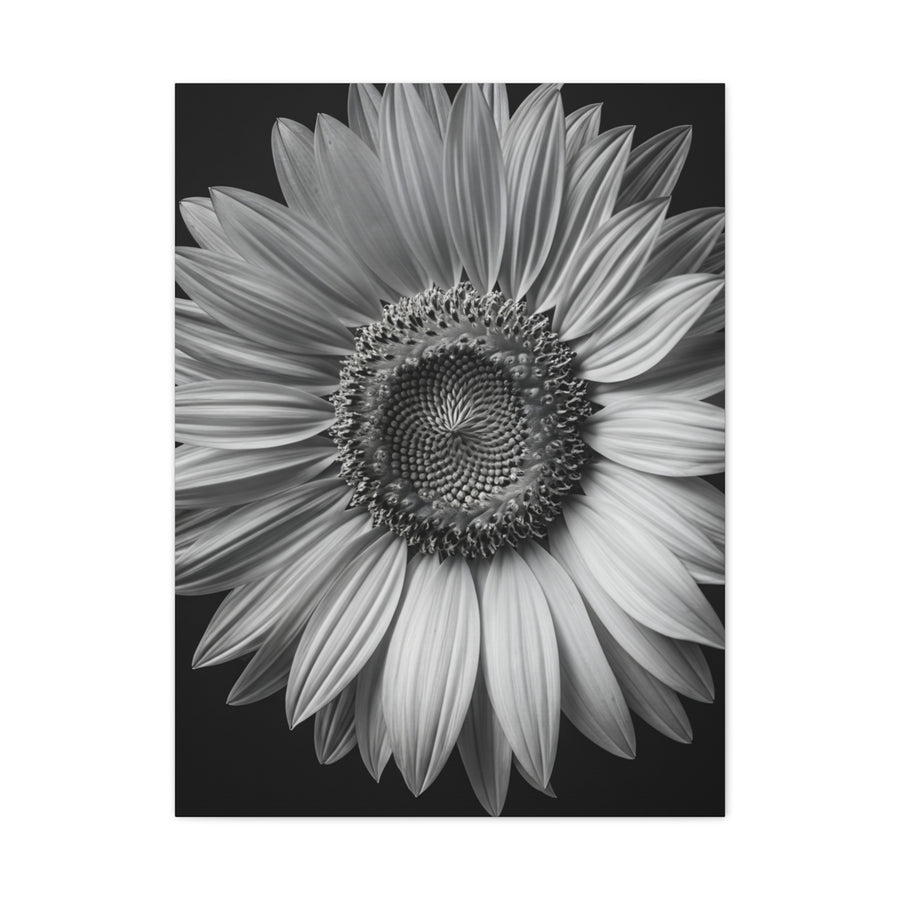 Velvet Orchid Bloom in Monochrome Wall Art & Canvas Prints