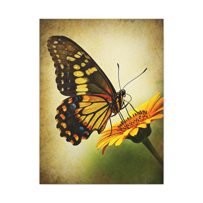 Golden Meadow Butterfly on Flower Wall Art & Canvas Prints