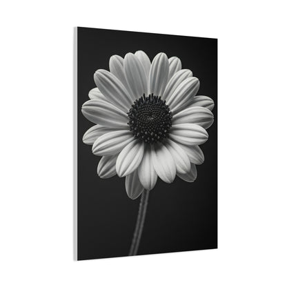 Bold Daisy Contrast Portrait Wall Art & Canvas Prints