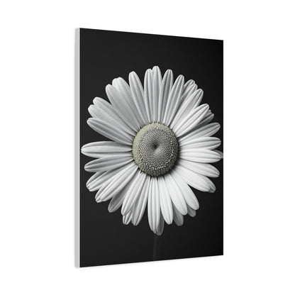 White Daisy Bloom Portrait Wall Art & Canvas Prints