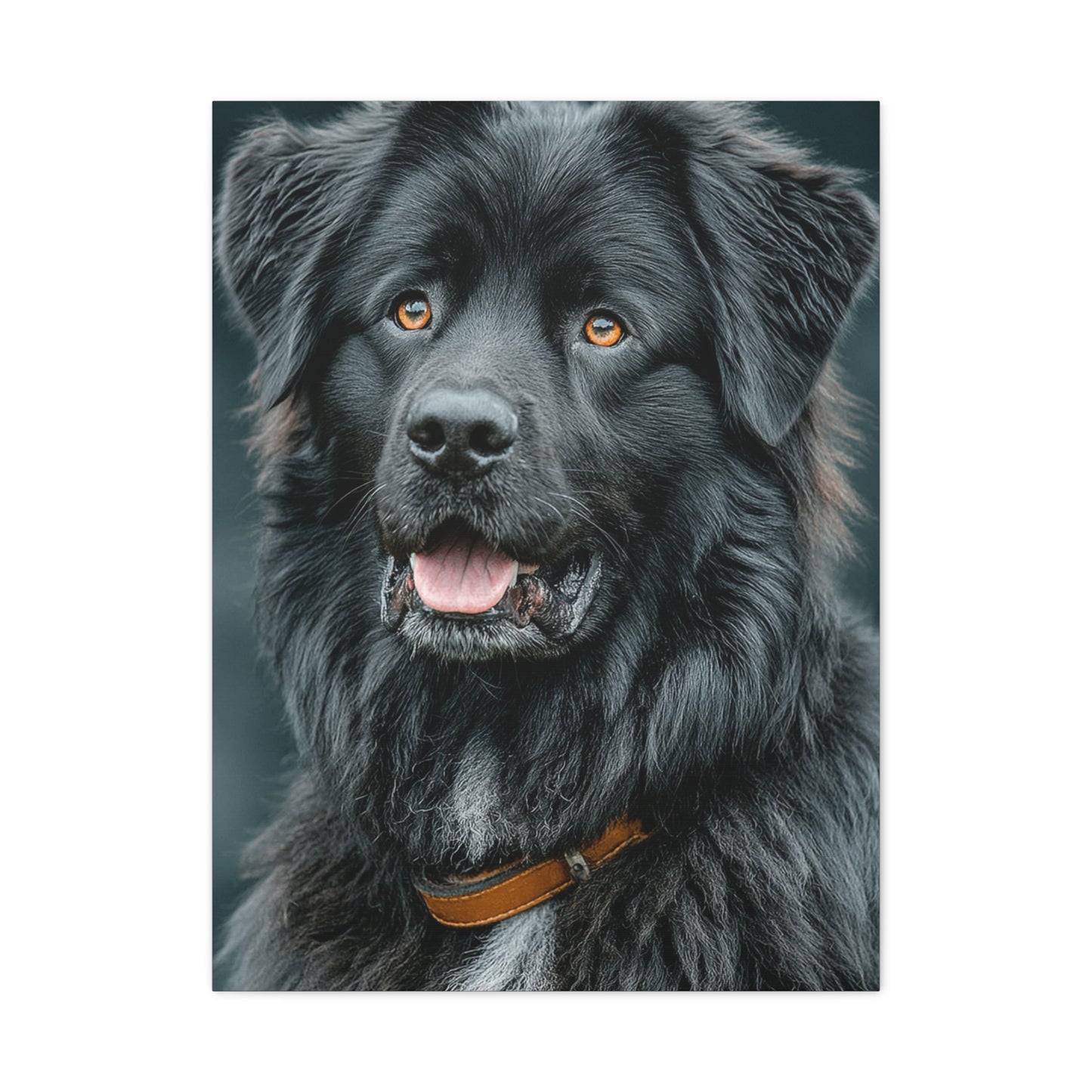 Noble Newfoundland Portrait Wall Art & Canvas Print